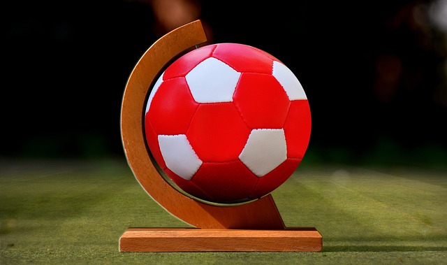 沧州雄狮足 沧州雄狮足