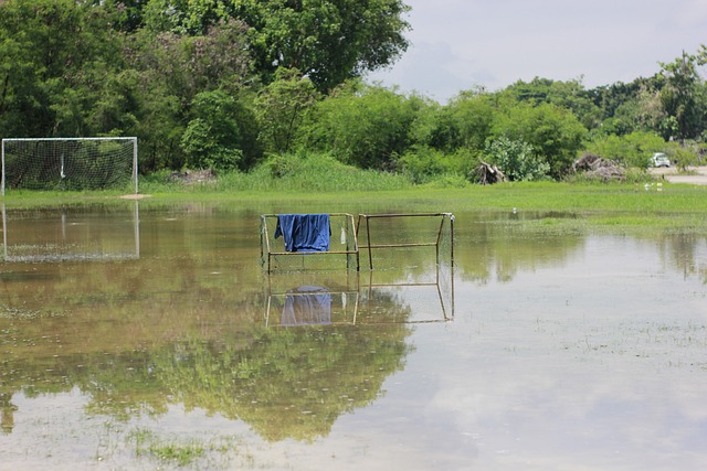 中参加国际 中参加国际
