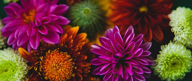 提上日程 提上日程