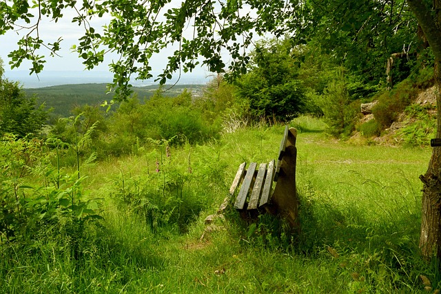 人得分上双 人得分上双