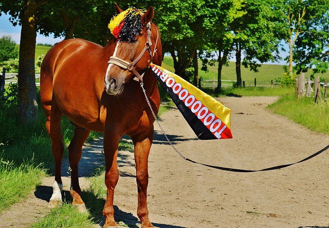 莫兰特未要 莫兰特未要