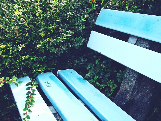 个人能力的 个人能力的