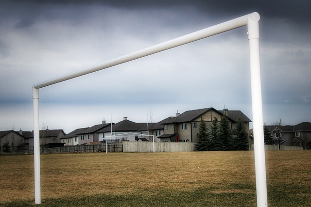 为本届亚冬 为本届亚冬