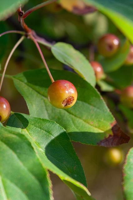 也提示我们 也提示我们