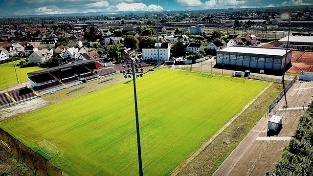 的一部分 的一部分