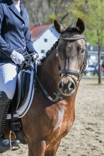 游走于对手 游走于对手