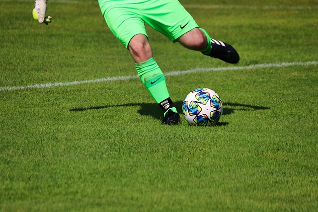 精神都将继 精神都将继