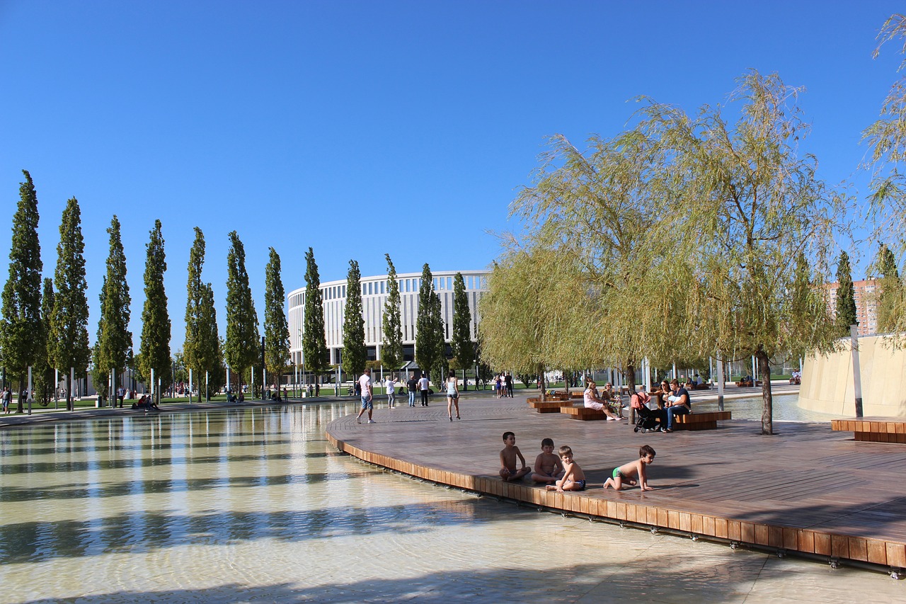 仅是比赛的 仅是比赛的